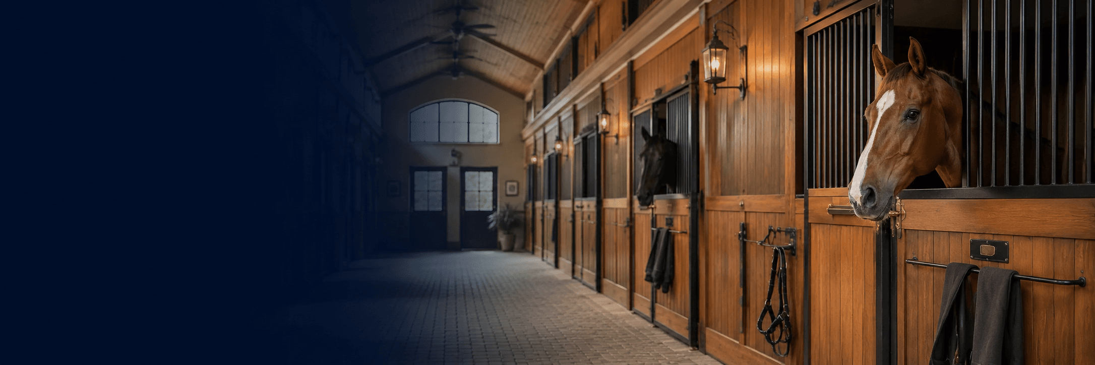 Kamerasystem für Ihren Bauernhof, Stall & Hof